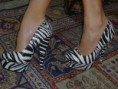 scarpe con platou zebra